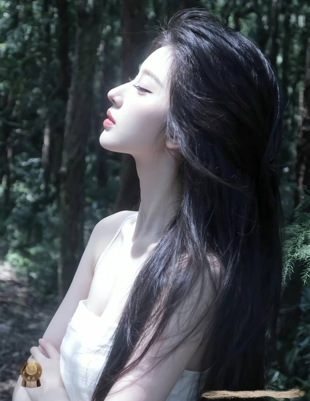 半山算法·前传